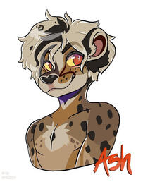 Bust of my cheetah character. He mostly brown with cream hair